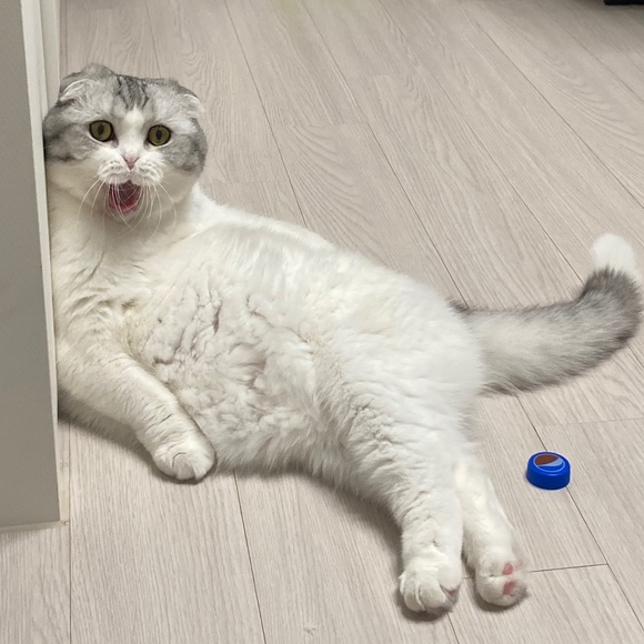 Meet your Posher, Doyun - Picture 1 of 1